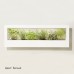 Декоративная рамка для растений с естественным светом. Smart Landscape GrowFrame m_2